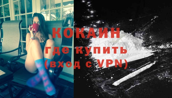мдпв Няндома