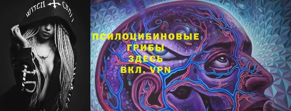 мдпв Няндома