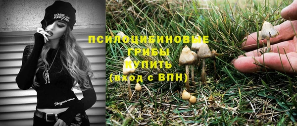 2c-b Нягань