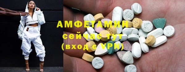 мдпв Няндома