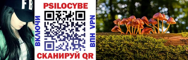 закладка  Котлас  Псилоцибиновые грибы прущие грибы 