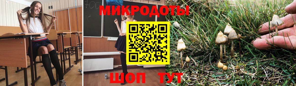 Псилоцибиновые грибы GOLDEN TEACHER  Вход с VPN  Котлас 