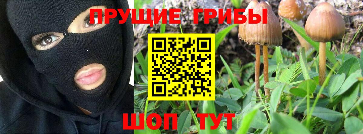 цены   Котлас  Псилоцибиновые грибы Magic Shrooms  Галлюциногенные грибы Psilocybe 