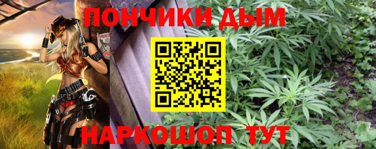 Шишки марихуана MAZAR  Котлас  Бошки Шишки гибрид  Канабис SATIVA & INDICA  МАРИХУАНА MAZAR 